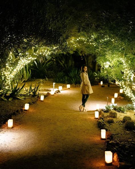 18 Luminarias Desert Botanical Garden Ideas You Must Look | SharonSable