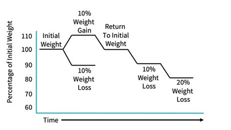 Understanding Set Point Theory in a Nutrition and Weight Loss Context