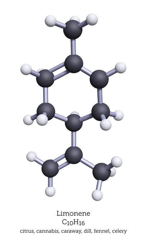 The Importance of Plant Terpenes in Human Health - CBD Testers