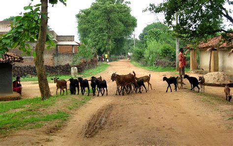 Most Beautiful Scene Village Life in Punjab, Pakistan - Karamat Adeel