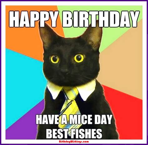 Funny Happy Birthday Memes With cats, Dogs & Funny Animals