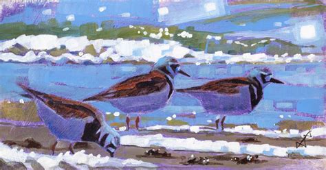 Turnstones, river Varde estuary | Society of Wildlife Artists