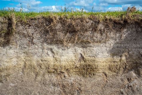 What Is Subsoil and How Does It Help a Garden? | The Family Handyman