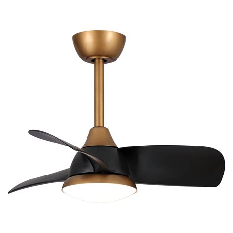 Black And Gold Ceiling Fan With Light | Shelly Lighting