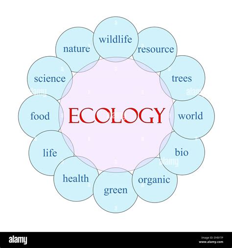 Ecology concept circular diagram in pink and blue with great terms such as wildlife, resource ...