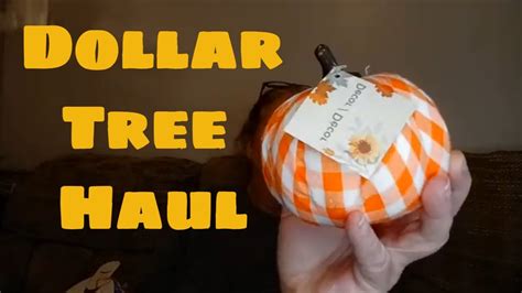 Dollar Tree Haul - YouTube