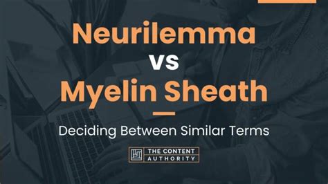 Neurilemma vs Myelin Sheath: Deciding Between Similar Terms