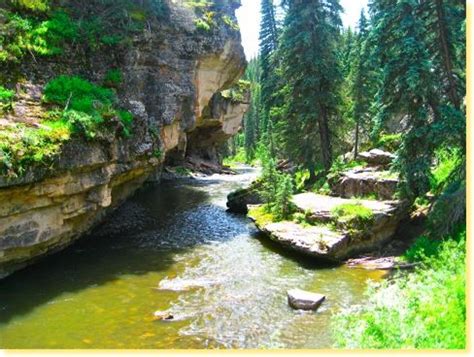 HIking in Pagosa Springs | Pagosa Springs hikes | Colorado vacation, Pagosa springs colorado ...