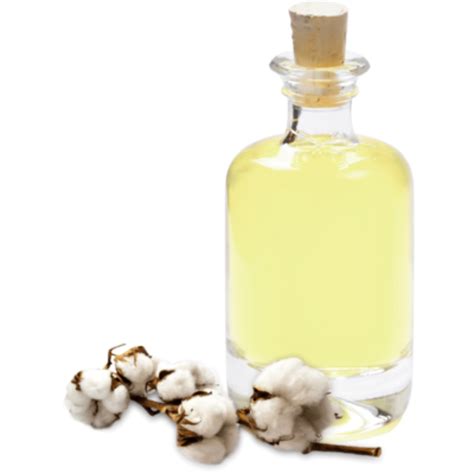 Cotton Seed Oil at Rs 98/kg | Cottonseed Oil | ID: 23646375648