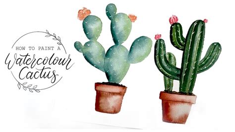 How To Paint A Watercolour Cactus - YouTube