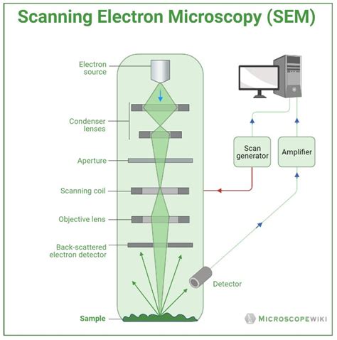 Scanning Electron Microscope Block Diagram