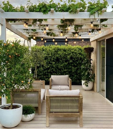 Pergola Designs: 45+ Ideas for Balcony, Terrace & Garden