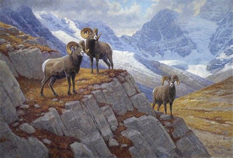 Bighorn sheep painting by Ralph Oberg Deer Artwork, Wildlife Artwork, Wildlife Paintings ...