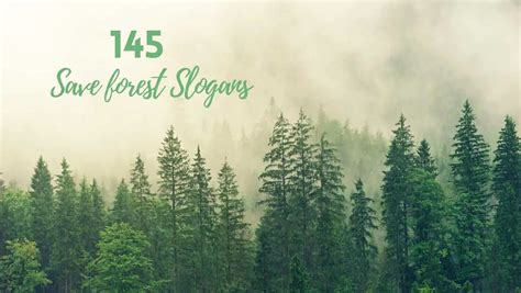 145 Latest & Catchy Save Forest Slogans (2023 Updated)