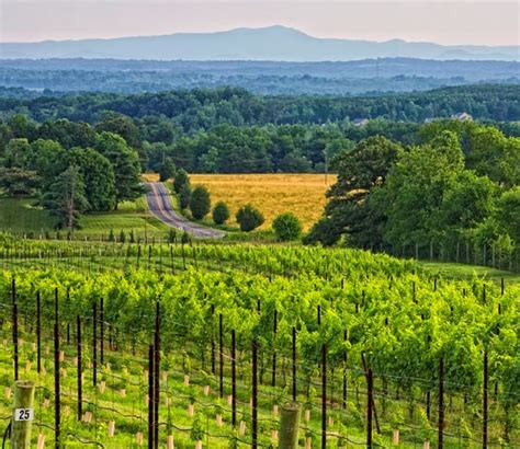 Yadkin Valley Heritage Corridor - Blue Ridge Parkway