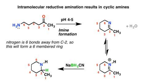 Reductive Amination | Organic chemistry, Chemistry, Biochemistry