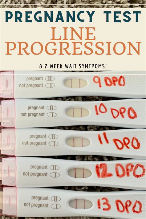 Pregnancy test line progression 8dpo 4 week pregnancy symptoms – Artofit