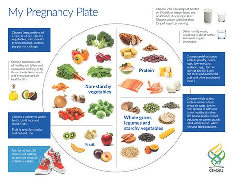 Nutrition During Pregnancy | Center for Women's Health | OHSU