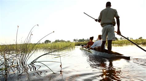 Okavango, Victoria Falls and Zimbabwe Safari - AAA Travel Africa