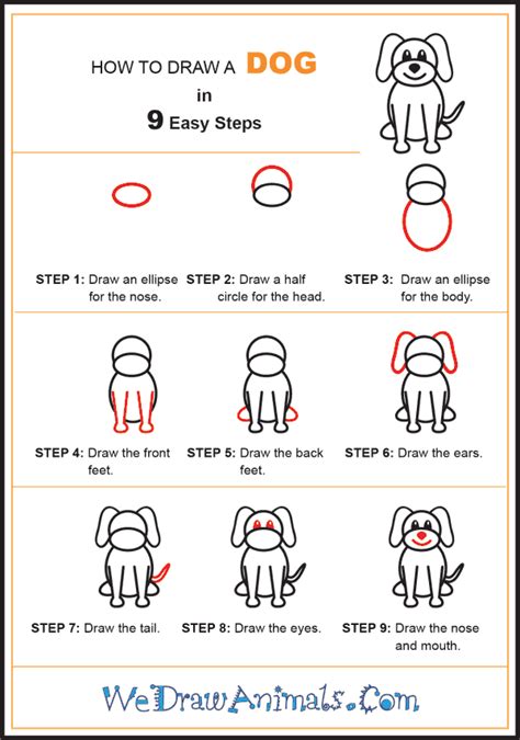 Easy Dog Drawing Step By Step For Kids - img-jeez