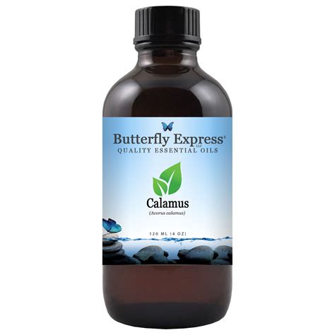 Calamus Essential Oil – Butterfly Express Quality Essential Oils