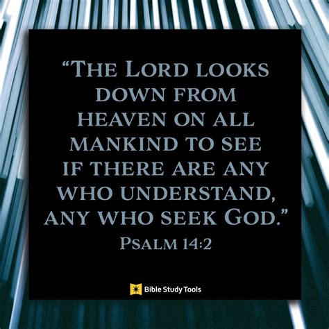 Found by Those Not Seeking (Psalm 14:2) - Your Daily Bible Verse - December 28 - Daily Devotional