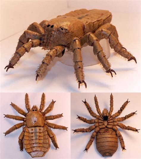 Prehistoric Giant Spiders