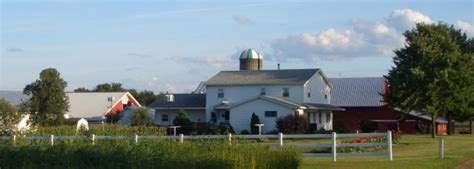 The Amish of St. Joseph County, Michigan (Centreville) - Amish America