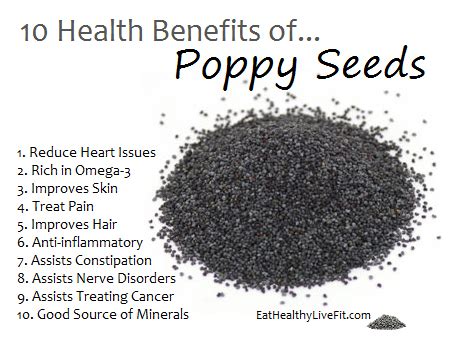 The Health Benefits of Poppy Seeds | Eating Healthy & Living Fit | Food health benefits, Health ...