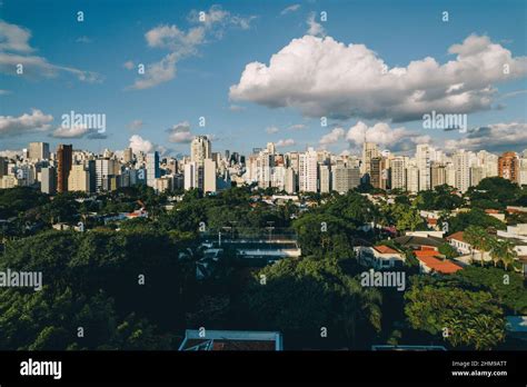 Park in Sao Paulo Stock Photo - Alamy