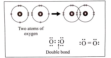 Doubt Solutions - Maths, Science, CBSE, NCERT, IIT JEE, NEET