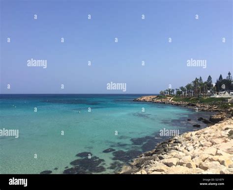 Fig tree bay Stock Photo - Alamy