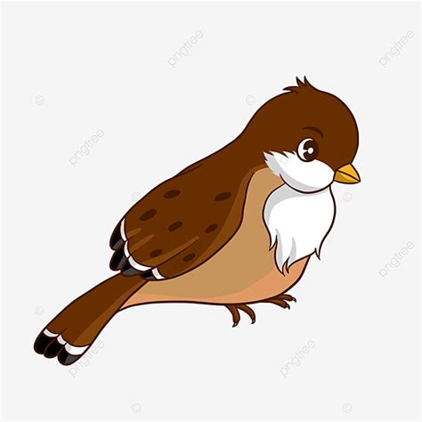 Sparrow Clipart Vector, Sparrow Clipart Cartoon, Sparrow Clipart, Sparrow Clip Art, Sparrow PNG ...