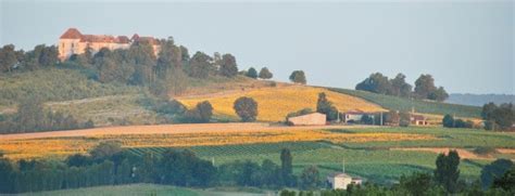 WOOL AND WATER: Plum Village Bordeaux France...