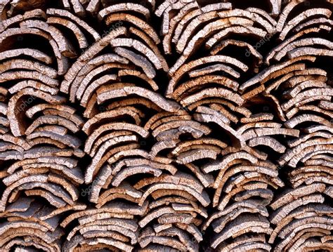 Cork oak bark in Portugal — Stock Photo © jehoede #8377709