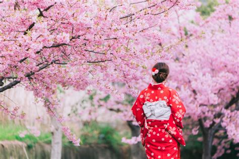 What you need to know about spring traditions in Japan - fromJapan