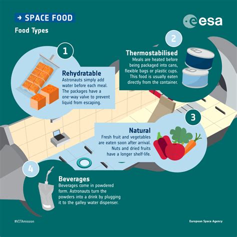 Space food: infographics – VITA mission