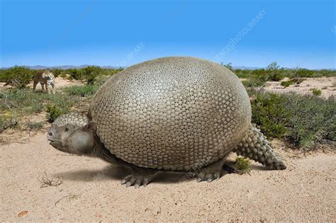 Ancient Giant Armadillo