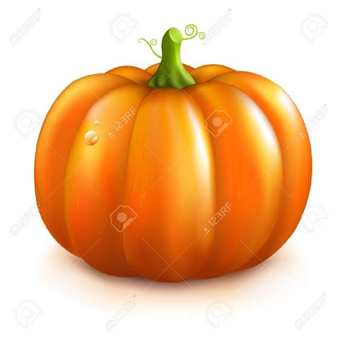 Squash Clipart at GetDrawings | Free download