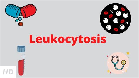 Leukocytosis, Causes, Signs and Symptoms, Diagnosis and Treatment ...