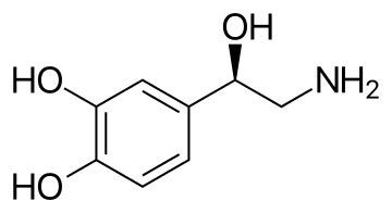 Norepinephrine - Wikipedia