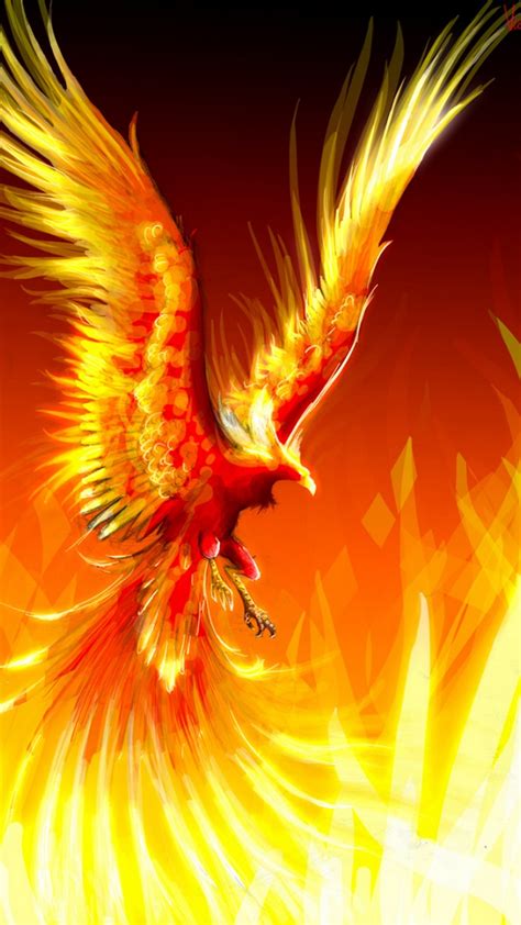 Phoenix Bird Wallpapers (80+ images)