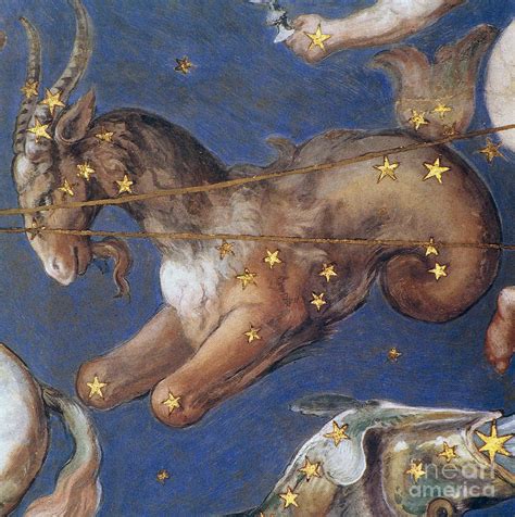 Zodiac: Capricornus, 1575 Photograph by Granger | Fine Art America