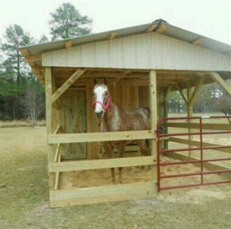 Single stall shelter. This would be great for a horse that needed to be kept off summer pasture ...