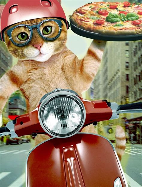 pizza cat - cat - pizza delivery postcard | Zazzle.com | Pizza cat ...