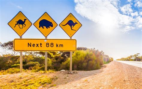 Five spectacular road trips through Western Australia