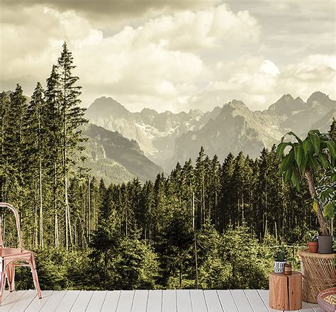 Conifer Forest Wallpaper and Mountains in the Background Self - Etsy