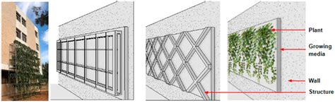 Buildings | Free Full-Text | Optimizing Shading and Thermal Performances of Vertical Green Wall ...