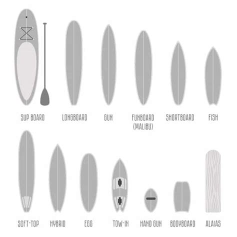 Different Surfboard Shapes - Everything You Need To Know! | Stoked For Travel