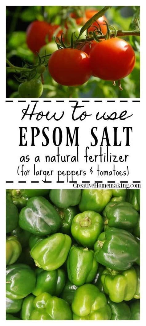 Using Epsom Salt as a Natural Fertilizer in the Garden | Natural ...